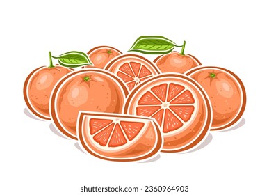 Vector logo for Grapefruits, decorative horizontal poster with cartoon design fruity grapefruit composition, fruit print with many whole and chopped circle parts of ripe grapefruits with green leaves