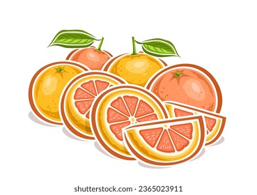 Vector logo for Grapefruits, decorative horizontal poster with cartoon design fruity grapefruit composition, fruit print with many whole and chopped circle parts of ripe grapefruits with green leaves