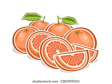 Logotipo vectorial para pomelo, afiche horizontal decorativo con diseño de dibujos animados composición de pomelo frutado, impresión de frutas con muchas partes de círculos enteros y cortados de pomelo maduro con hojas verdes