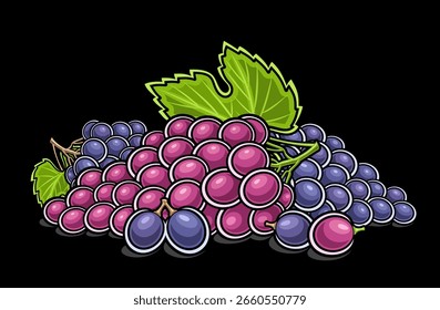 Vector logo for Grapes, horizontal decorative poster with outline illustration of ripe different grape bunch composition, cartoon design fruity print with variety raw grape bunches on black background