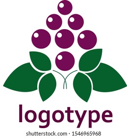 vector logo grapes on white background