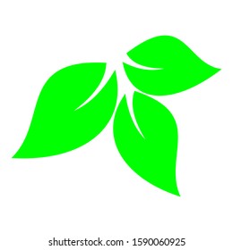 Vector logo of green leaf icon. Three-leaf ecological icon. vector illustration