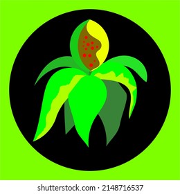 Vector logo with green leaves in a black circle. The picture shows like a fruit pistil showing a growth