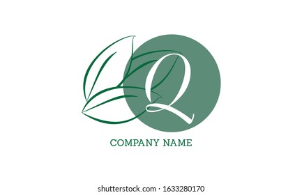 Vector logo with green leaves. Handwritten monogram with initial letter Q and elegant logo, wedding, fashion, business design.