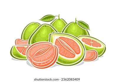 Vector logo for Green Pomelos, decorative horizontal poster with cartoon design fruity pomelo still life composition, fruit print with whole and chopped parts of ripe juicy pomelos with green leaves