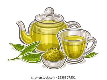 Vektorlogo für Green Tea Drink, horizontales Poster mit Cartoon-Design, traditionelle Teezusammensetzung, dekoratives Plakat mit frischem grünen Tee in Glasteekanne und transparentem Teetassen auf weißem Hintergrund