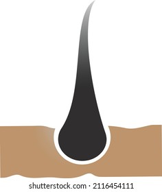 Vector logo hair diagnostic center. The concept of a beauty salon, clinic of help, split ends, hair loss, hair health, shampoo, hairline.