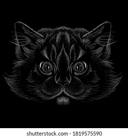 The Vector logo Halloween cat for tattoo or T-shirt design or outwear.  Cute print style cat background. This hand drawing would be nice to make on the black fabric or canvas.