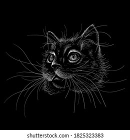 The Vector logo Halloween cat for tattoo or T-shirt design or outwear.  Cute print style cat background. This hand drawing would be nice to make on the black fabric or canvas.