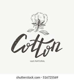 Vector logo of hand-drawn ink cotton. Lettering. Botanical illustrations.