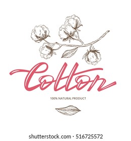 Logotipo vetorial de algodão à mão desenhado a tinta. Lettering. Ilustrações botânicas.