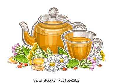 Vektorlogo für Herbal Tea Drink, horizontales Poster mit Cartoon-Design, traditionelle Teekomposition, dekoratives Plakat mit frischem Kräutertee in Glasteekanne und transparenter Teetasse auf weißem Hintergrund