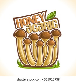 Vector logo Honey Agarics Mushrooms: group of wild mushrooms on ground forest glade, cartoon still life with lettering honey agaric with leaf, outdoors nature label with inscription for edible fungus.