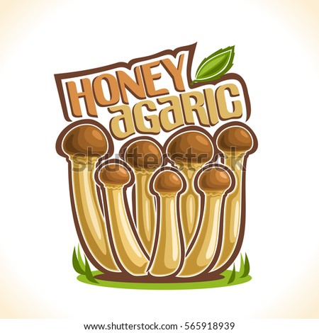 Vector logo Honey Agarics Mushrooms: group of wild mushrooms on ground forest glade, cartoon still life with lettering honey agaric with leaf, outdoors nature label with inscription for edible fungus.