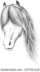 The Vector logo horse for T-shirt print  design or outwear.  Hunting style horse background. This drawing would be nice to make on the black fabric or canvas.