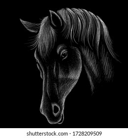 The Vector logo horse for T-shirt print  design or outwear.  Hunting style horse background. This drawing would be nice to make on the black fabric or canvas.