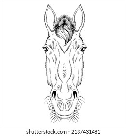 El caballo del logotipo del vector para el diseño de impresión de camisetas o ropa interior.  Antecedentes de caballo al estilo de la caza. Este dibujo sería agradable de hacer sobre la tela negra o el lienzo.
