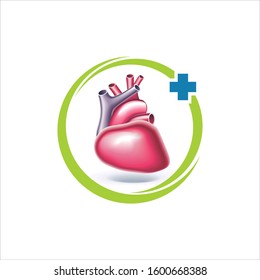 vector logo of a human heart organ