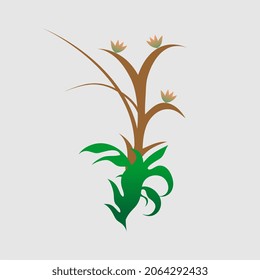vector logo image illustration of a beautiful flowering plant is also charming