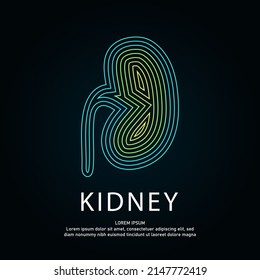 Vector logo kidney color silhouette on a dark background. kidney logo design vector illustration - EPS 10