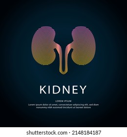 Vector logo kidney color silhouette on a dark background. Kidney logo vector. Urology icon design template - EPS 10