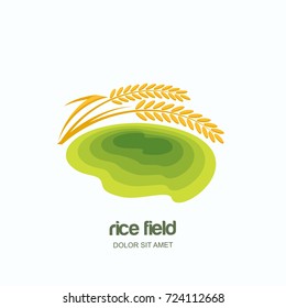 Vector logo, label, emblem with green rice terrace field. Farm landscape and yellow rice grains, isolated illustration. Concept for asian agriculture, organic cereal products.