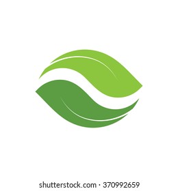 Vector logo leaf. Nature icon. Eco Yin Yang. Organic green isolated logo.