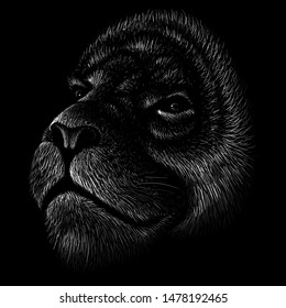 The Vector logo lion for tattoo or T-shirt print design or outwear.  Hunting style lions background.
