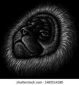 The Vector logo lion for tattoo or T-shirt  print design or outwear.  Hunting style lions background.