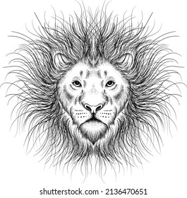The Vector logo lion for tattoo or T-shirt print design or outwear.  Hunting style lions background. This hand drawing would be nice to make on the black fabric or canvas.