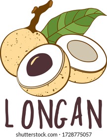 Vector logo of longan fruit isolated on white background. Botanical illustration for menu, market, label, juice packaging design.