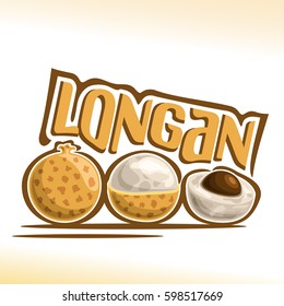 Vector logo Longan Fruit: still life of 3 whole and sliced peeled half longan, fresh thai exotic fruits with white pulp, abstract icon dimocarpus malesianus with title text for label isolated on white