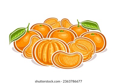 Vector logo for Mandarins, decorative horizontal poster with cartoon design mandarin and tangerine fruity still life composition, fruit print with whole and parts of ripe mandarins with green leaves