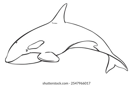 Logotipo del Vector de la ballena asesina de animales marinos. Ilustración lineal estilizada de Orca. Ballena asesina, depredador marino saltando del agua con la cola curva. Dibujado a mano, imitación de la técnica de grabado.