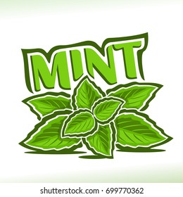 Vector logo for Mint herb, label with green leaves of peppermint, sprig of fresh spearmint, icon with title text - mint for natural products with menthol flavor, twig of herbal garnish on white.