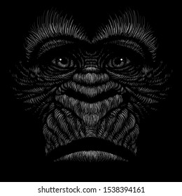 The Vector logo a monkey or gorilla named King Kong for tattoo or T-shirt design or outwear.  Cute print style a monkey or gorilla named King Kong background. This drawing would be nice to make.