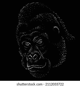 The Vector logo a monkey or gorilla named King Kong for tattoo or T-shirt design or outwear.  Cute print style a monkey or gorilla named King Kong background. This drawing would be nice to make.