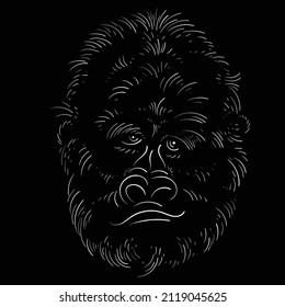 The Vector logo a monkey or gorilla named King Kong for tattoo or T-shirt design or outwear.  Cute print style a monkey or gorilla named King Kong background. This drawing would be nice to make.