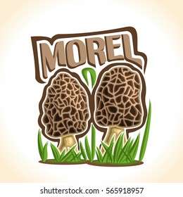 Vector logo Morel Mushrooms: 2 wild mushrooms on ground forest glade, cartoon still life with lettering morel on sprout grass, outdoors nature label with inscription for organic edible fungi morchella