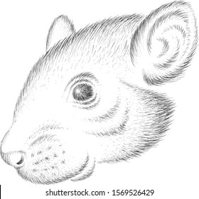 The Vector logo mouse or rat for tattoo or T-shirt design or outwear.  Cute print style mouse or rat background. This drawing Chinese New Year mouse would be nice to make on the black fabric or canvas