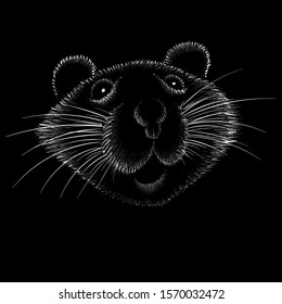 The Vector logo mouse or rat for tattoo or T-shirt design or outwear.  Cute print style mouse or rat background. This drawing Chinese New Year mouse would be nice to make on the black fabric or canvas