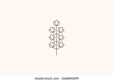 Vector Logo Of Nature Design Template