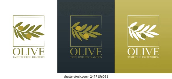 Logotipo de Vector de rama de olivo con hojas. Iconos de aceite de oliva de Vector dibujado a mano moderno. Concepto de la marca para la compañía del aceite de oliva, productos orgánicos, productos ecológicos del aceite, bienestar, belleza, servicios culinarios 