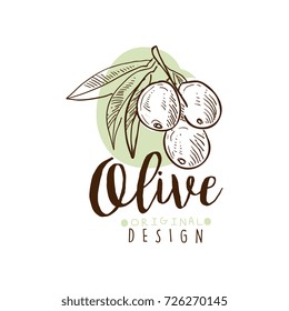 Vector Logo of Olives Hand Drawn On A Branch