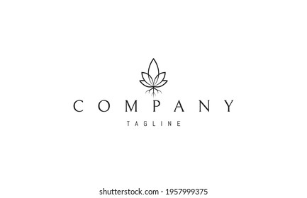 Vector logo on which an abstract image of cannabis leaves with a root.