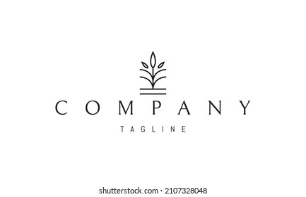 Vector logo on which an abstract image of a plant in a minimalist style.