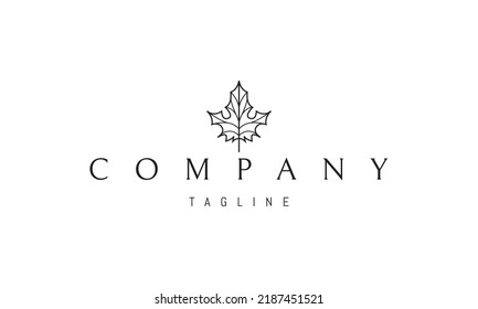 Vector logo on which an abstract image of a maple leaf in a linear style.
