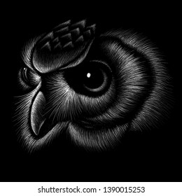 The Vector logo owl for tattoo or T-shirt design print or outwear.  Hunting style owl background.
