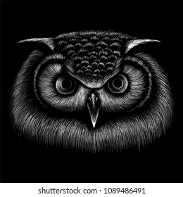 The Vector logo owl for T-shirt design or outwear.  Hunting style owl background.