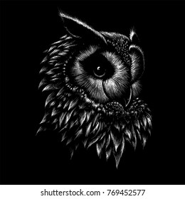 The Vector logo owl for T-shirt design or outwear.  Hunting tattoo owl  style background.